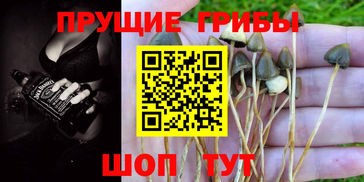 Псилоцибиновые грибы ЛСД Раменское